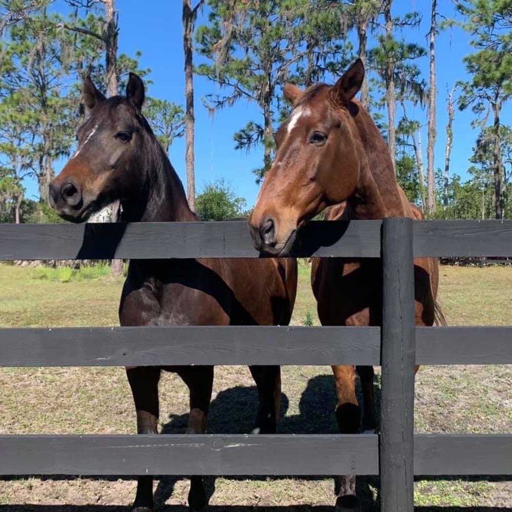 Meet your Posher, Linda